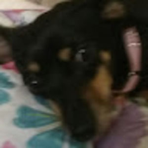 Meet your Posher, Macy